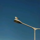 윈터블루(Winter blue) 이미지