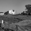 광주전남행정사사무소 이미지