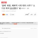 '일베' 회원, 혜화역 시위 테러 사주? "소기의 목적 달성했다" 이미지