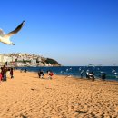 해운대 - 남구 삼산로395번길 9 | 해운대