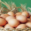 서연농장 이미지