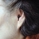 성북-길음-301 | 성북구보청기 정부지원금으로 노인보청기 구입