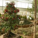 안산 식물원 이미지