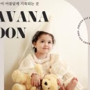 래빗문스튜디오