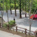 장태산자연휴양림 캠핑장 이미지