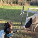 삼보목장 이미지