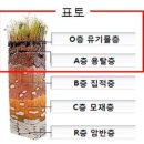 토양 생성과정 - 슬램 덩크(Slam dunk)는 박테리아(bacteria ; 작은 지팡이(staff), 막대기, 줄기cane) 이미지
