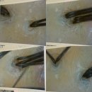 올댓스칼프앤스킨라운지