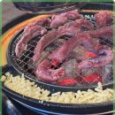 신마포 갈매기 이미지