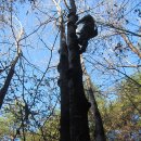 대촌약국 이미지