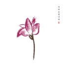 구산면555 이미지