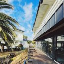 구름정원펜션 | 제주도 동백꽃 카페 렌시아 솔직 후기 – 겨울 제주 감성 정원과 무료 토스트가 있는 조용한 카페