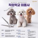 미용사 프레스뉴스