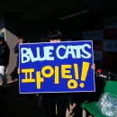 블루캣츠블루