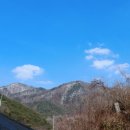 우복동 편백 펜션 이미지