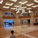 소노캄제주EAST동 이미지