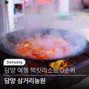 담양-05 | 담양 여행 먹킷리스트 삼거리농원 닭볶음탕
