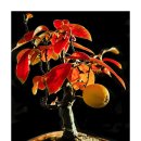 모과목장 이미지