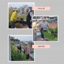 늘푸른돌봄센터 이미지