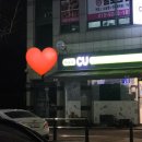 플로르티