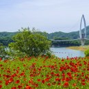 요산공원 이미지