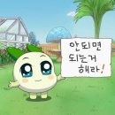 블챌 마지막❗