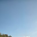 팡팡뽑기방 이미지