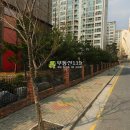 늘을3로71 이미지