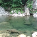 잣나무산장 이미지