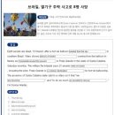490_Brazil Balloon Crash Horror 이미지