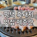 소사하루 소사하루협동조합 | 평택 소사동 맛집 제줏간 평택소사점 제주 감성 가득한 고기집