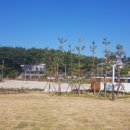 남포항 다목적광장 네이버블로그