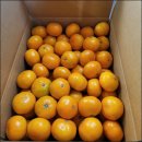 진정농장 이미지