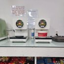 스테이 376(stay 376) | 강릉 애견 동반 가능 숙소 자연 속 글램핑장 스테이123 솔직후기