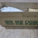 춘분 | 춘분맞이 튤립구매