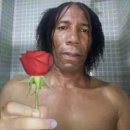 푸름농장 | [ 미쉐린 ✽ ] Gigas 기가스