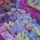 찌꼬뽀꼬 | 부산 인형뽑기 부산시청근처 인형뽑기 추천