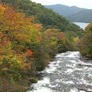 (주)대승엘리베이터 - 팔달구 | (주)대승엘리베이터