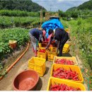 영동지원 이미지