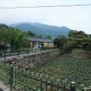 어화 사랑채 | 운조루에 펼쳐진 동편제 춘향가