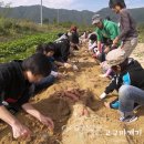 금산힐링푸드영농조합법인 이미지