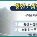 개미여행사