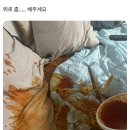 와 이거 엽떡 능가하는 짤이다 이미지