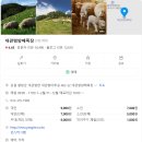 [부산당일치기] 바람치즈마을/대관령양떼목장/ 월정자 전나무숲길-부산테마여행사 후기(뚜벅이 추천)