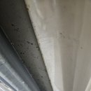 서홍동 주민센터 이미지