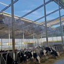 빅웨이목장 이미지