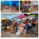 백두대간협곡열차여행 이미지