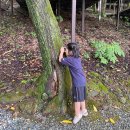 계명산나무숲길캠핑장 이미지