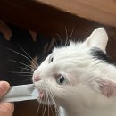 레벨업 PC방 송내점 이미지