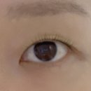 찰리브로우